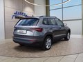 Daumennagel 5 - Skoda Karoq 2,0TDI DSG 4x4 Navi/LED/Kamera/ACC/Winterp.  **