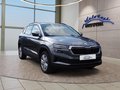 Daumennagel 7 - Skoda Karoq 2,0TDI DSG 4x4 Navi/LED/Kamera/ACC/Winterp.  **