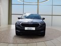 Daumennagel 8 - Skoda Karoq 2,0TDI DSG 4x4 Navi/LED/Kamera/ACC/Winterp.  **