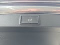 Daumennagel 19 - Skoda Octavia Combi Sportline 1.5TSI mHEV aAHK/Matrix/el.Klappe **
