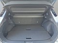 Daumennagel 16 - Nissan Qashqai N-Design 1.5 VC-T e-POWER UPE=50500 Euro   **