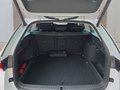 Daumennagel 16 - Skoda Octavia 1,5TSI DSG aAHK/Matrix/ACC/Kamera/el.Klappe **