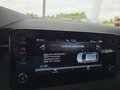 Daumennagel 46 - Skoda Kamiq Monte Carlo 1,5TSI DSG 4*J.Gar/AHK/18*Alu/el.Klappe **