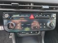 Daumennagel 26 - Hyundai TUCSON 1,6T HEV 4WD N Line X UPE=56000 Euro!        **
