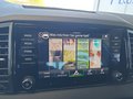 Daumennagel 34 - Skoda Karoq Sportline 1,5TSI DSG 4*J.Gar/Pano/aAHK/Matrix/Navi    **