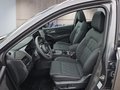 Daumennagel 9 - Nissan Qashqai Tekna+ 1,3 DIG-T Xtronic UPE=48500 Euro **