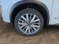 Daumennagel 15 - Nissan X-Trail Tekna+ 1.5 e-4ORCE UPE=60500 Euro   **