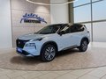 Daumennagel 1 - Nissan X-Trail Tekna+ 1.5 e-4ORCE UPE=60500 Euro   **