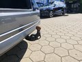 Daumennagel 19 - Skoda Octavia Combi 1.5 TSI ACT Style AHK/LED/ACC