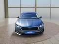 Daumennagel 8 - Skoda Octavia Combi 1.5 TSI ACT Style AHK/LED/ACC