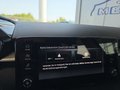 Daumennagel 27 - Skoda Fabia 1,0TSI DSG 5*J.Gar/LED/Winterp/Temp. **