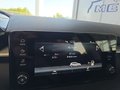 Daumennagel 34 - Skoda Fabia 1,0TSI DSG 5*J.Gar/LED/Winterp/Temp. **