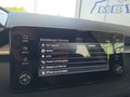 Daumennagel 38 - Skoda Fabia 1,0TSI DSG 5*J.Gar/LED/Winterp/Temp. **