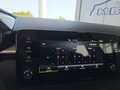 Daumennagel 39 - Skoda Fabia 1,0TSI DSG 5*J.Gar/LED/Winterp/Temp. **