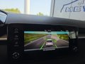 Daumennagel 40 - Skoda Fabia 1,0TSI DSG 5*J.Gar/LED/Winterp/Temp. **