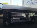 Daumennagel 41 - Skoda Fabia 1,0TSI DSG 5*J.Gar/LED/Winterp/Temp. **