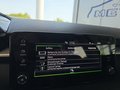 Daumennagel 42 - Skoda Fabia 1,0TSI DSG 5*J.Gar/LED/Winterp/Temp. **