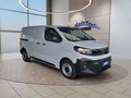Daumennagel 7 - Opel Vivaro L2 2,0d 144PS Aut.Standhz/AHK/Winterp/Kamera  **