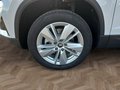 Daumennagel 15 - Skoda Karoq 1,5TSI DSG aAHK/ACC/Kamera/Winterp.       **