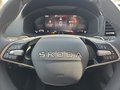 Daumennagel 23 - Skoda Karoq 1,5TSI DSG aAHK/ACC/Kamera/Winterp.       **