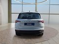 Daumennagel 4 - Skoda Karoq 1,5TSI DSG aAHK/ACC/Kamera/Winterp.       **