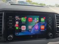 Daumennagel 34 - Skoda Karoq 1,5TSI DSG aAHK/ACC/Kamera/Winterp.       **