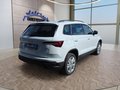 Daumennagel 5 - Skoda Karoq 1,5TSI DSG aAHK/ACC/Kamera/Winterp.       **