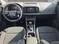 Daumennagel 10 - Skoda Karoq 1,5TSI DSG aAHK/ACC/Kamera/Winterp.       **