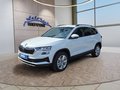 Daumennagel 1 - Skoda Karoq 1,5TSI DSG aAHK/ACC/Kamera/Winterp.       **