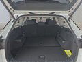 Daumennagel 16 - Skoda Kodiaq 1,5TSI DSG aAHK/7-Sitzer/Navi/ACC/el.Klappe **
