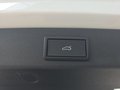 Daumennagel 19 - Skoda Kodiaq 1,5TSI DSG aAHK/7-Sitzer/Navi/ACC/el.Klappe **