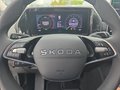 Daumennagel 23 - Skoda Kodiaq 1,5TSI DSG aAHK/7-Sitzer/Navi/ACC/el.Klappe **