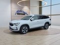 Daumennagel 1 - Skoda Kodiaq 1,5TSI DSG aAHK/7-Sitzer/Navi/ACC/el.Klappe **