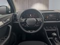 Daumennagel 13 - Skoda Karoq 1,5TSI DSG aAHK/ACC/Kamera/Winterp.       **