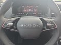 Daumennagel 22 - Skoda Karoq 1,5TSI DSG aAHK/ACC/Kamera/Winterp.       **