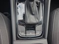 Daumennagel 25 - Skoda Karoq 1,5TSI DSG aAHK/ACC/Kamera/Winterp.       **