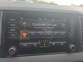 Daumennagel 27 - Skoda Karoq 1,5TSI DSG aAHK/ACC/Kamera/Winterp.       **