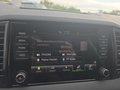 Daumennagel 28 - Skoda Karoq 1,5TSI DSG aAHK/ACC/Kamera/Winterp.       **