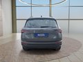 Daumennagel 4 - Skoda Karoq 1,5TSI DSG aAHK/ACC/Kamera/Winterp.       **