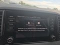 Daumennagel 32 - Skoda Karoq 1,5TSI DSG aAHK/ACC/Kamera/Winterp.       **