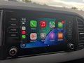 Daumennagel 33 - Skoda Karoq 1,5TSI DSG aAHK/ACC/Kamera/Winterp.       **