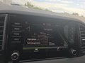 Daumennagel 38 - Skoda Karoq 1,5TSI DSG aAHK/ACC/Kamera/Winterp.       **