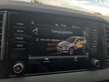 Daumennagel 39 - Skoda Karoq 1,5TSI DSG aAHK/ACC/Kamera/Winterp.       **