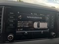 Daumennagel 40 - Skoda Karoq 1,5TSI DSG aAHK/ACC/Kamera/Winterp.       **