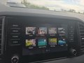 Daumennagel 43 - Skoda Karoq 1,5TSI DSG aAHK/ACC/Kamera/Winterp.       **