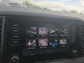 Daumennagel 44 - Skoda Karoq 1,5TSI DSG aAHK/ACC/Kamera/Winterp.       **