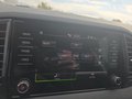 Daumennagel 48 - Skoda Karoq 1,5TSI DSG aAHK/ACC/Kamera/Winterp.       **