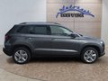 Daumennagel 6 - Skoda Karoq 1,5TSI DSG aAHK/ACC/Kamera/Winterp.       **