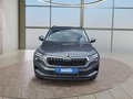 Daumennagel 8 - Skoda Karoq 1,5TSI DSG aAHK/ACC/Kamera/Winterp.       **