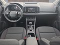 Daumennagel 10 - Skoda Karoq 1,5TSI DSG aAHK/ACC/Kamera/Winterp.       **